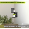 image:imageCorner Shelf Greenco Modern Design 2 Tier Floating Shelves for Walls EasytoAssemble Corner Shelf Wall Mount for Bedrooms and Living Rooms Espresso FinishEspresso